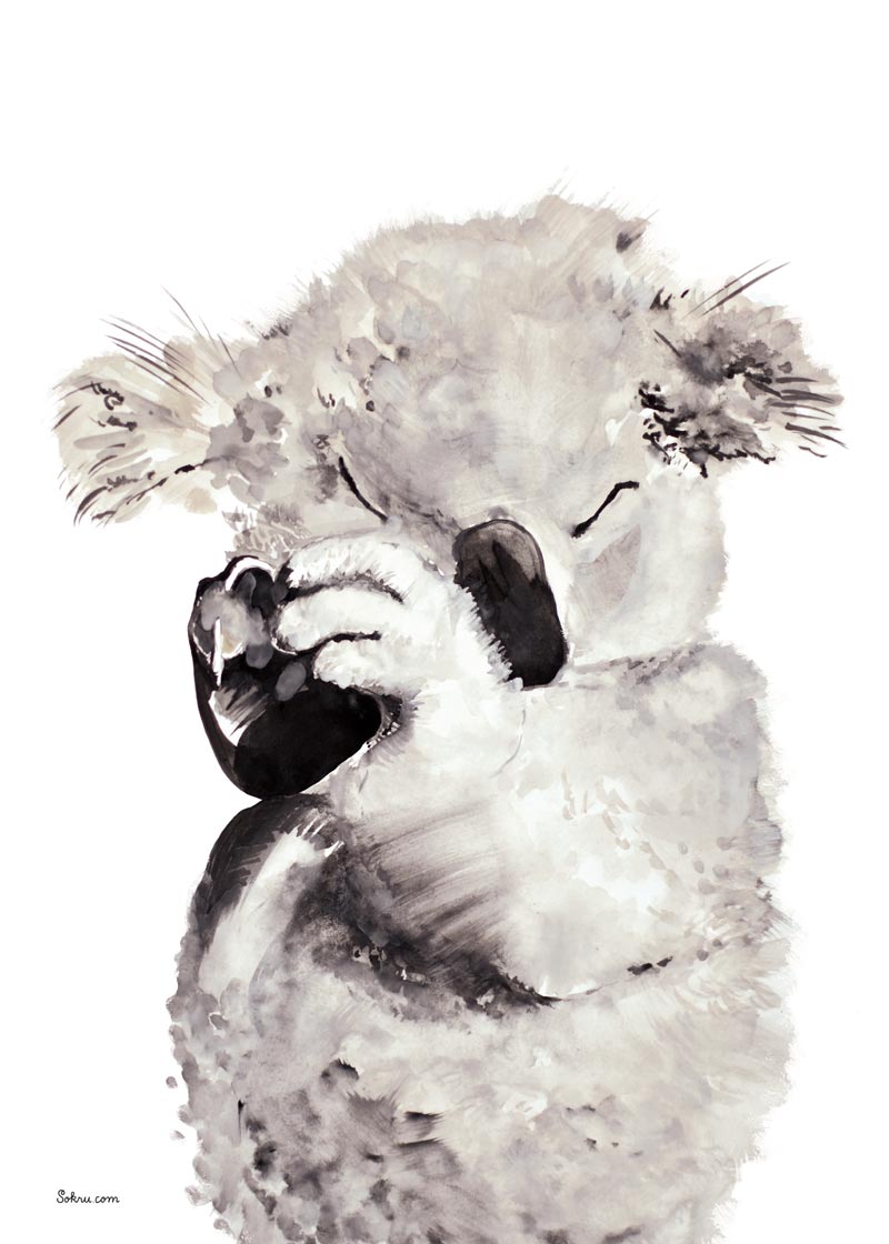 Sokru • Koala