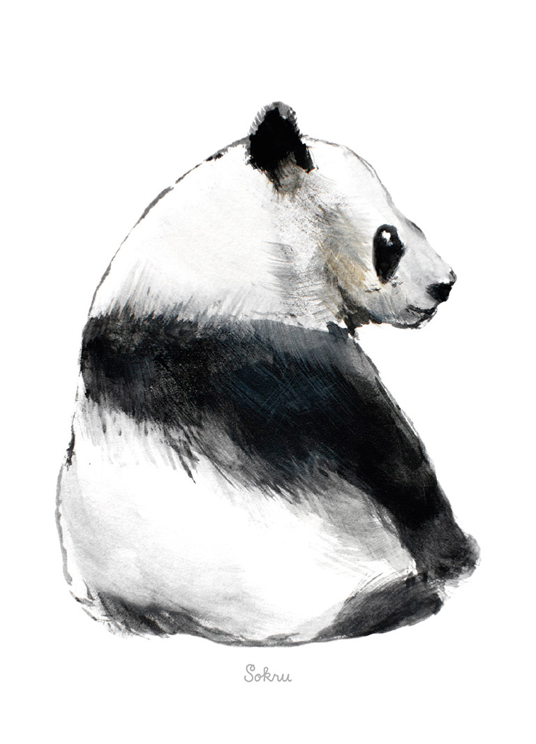 Sokru • Panda